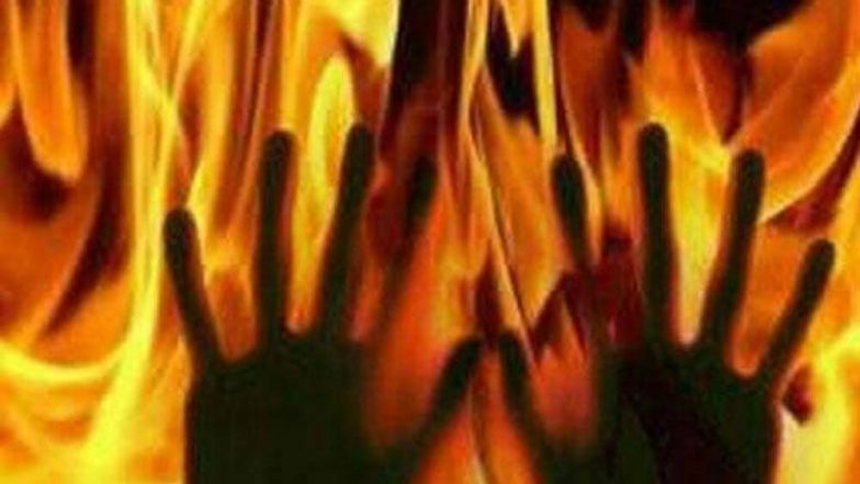 Dogs Feasting With Half-Burnt Body: যুবতীর আধপোড়া দেহ নিয়ে মহাভোজ কুকুর দলের! সোশ্যাল মিডিয়ায় ভাইরাল হতে দেরি হল না খবর