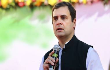 Rahul Gandhi: কঠোর লকডাউনে ভারতের অর্থনীতি দ্রুত ক্ষতিগ্রস্ত হবে, ভিডিও বার্তায় রাহুল গান্ধীকে বললেন সুইডিশ স্বাস্থ্য বিশেষজ্ঞ