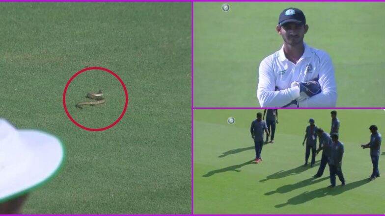Snake Stops Play: āĻŽāĻžāĻ ā§āϰ āĻŽāϧā§āϝ⧠āĻāĻāĻā§āĻŦā§āĻāĻā§ āĻāϞā§āĻā§ āϏāĻžāĻĒ! āĻŦāύā§āϧ āĻšā§ā§ āĻā§āϞ āĻ
āύā§āϧā§āϰāĻĒā§āϰāĻĻā§āĻļ āĻŦāύāĻžāĻŽ āĻŦāĻŋāĻĻāϰā§āĻ āϰāĻā§āĻāĻŋ āĻŽā§āϝāĻžāĻ