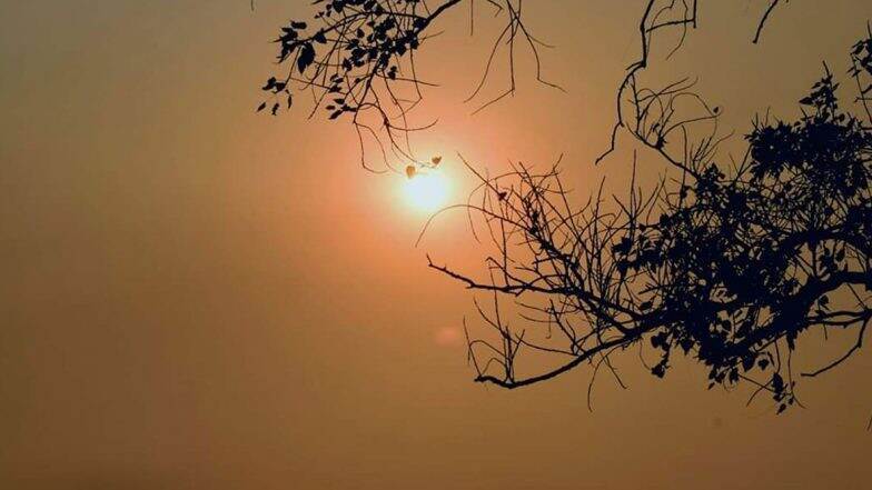 Makar Sankranti: āĻŽāĻāϰ āϏāĻāĻā§āϰāĻžāύā§āϤāĻŋ āĻāĻŋāϰ⧠āĻā§āĻŋā§ā§ āϰā§ā§āĻā§ āĻāĻ āϏāĻŦ āĻĒā§āϰāĻžāĻŖāĻŋāĻ āĻāĻžāĻšāĻŋāύā§