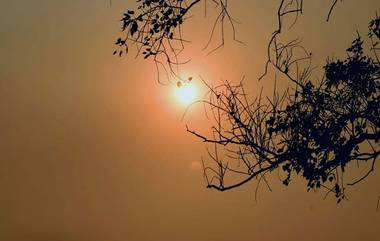 Makar Sankranti: মকর সংক্রান্তি ঘিরে জড়িয়ে রয়েছে এই সব পৌরাণিক কাহিনী