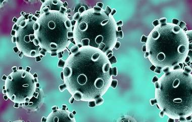 Coronavirus In Kolkata: পার্ক স্ট্রিট থানার অফিসার করোনা আক্রান্ত