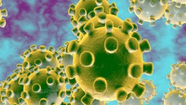 Coronavirus: দিল্লি- তেলেঙ্গানাতে করোনাতে আক্রান্ত ২, বিশ্বজুড়ে 'স্বাস্থ্য জরুরি অবস্থা' জারি Who-র