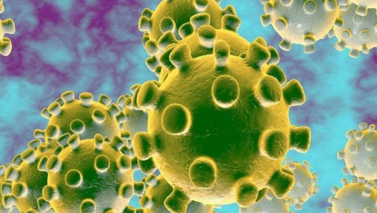 Coronavirus Cases In India: ফের ৫০ হাজারের নিচে দৈনিক সংক্রমণ, ২৪ ঘণ্টায় করোনার বলি ৯৭৯ জন