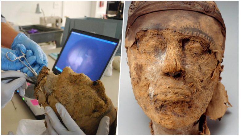 Mummy Speaks After 3000 Years: কথা বলে উঠল তিন হাজার বছরের পুরনো মমি!