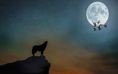 Wolf Moon 2020 on Jan 10: রাত পোহালেই বছরের প্রথম চন্দ্রগ্রহণ, কখন কীভাবে দেখবেন?