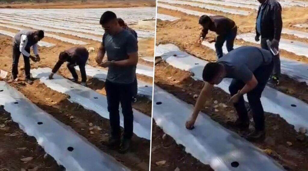 MS Dhoni Turns Farmer: ক্রিকট ছেড়ে তরমুজের চাষ করছেন মহেন্দ্র সিং ধোনি! MS Dhoni Turns Farmer: ক্রিকট ছেড়ে তরমুজের চাষ করছেন মহেন্দ্র সিং ধোনি!
