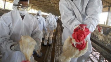Bird Flu: চেক প্রজাতন্ত্রে বার্ড-ফ্লুর চোখ রাঙানি, সংক্রামিত লক্ষাধিক মুরগী