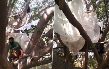 Youths Quarantined Themselves On Tree : বাড়িতে আলাদা ঘর নেই, পুরুলিয়ায় গাছের ডালে মাচা করে কোয়ারান্টাইনে কেরালা ফেরত ৭ যুবক!