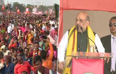 Amit Shah In Kolkata: 'ক্ষমতায় আসলে বাংলারই ভূমিপুত্র মুখ্যমন্ত্রী হবেন', শহিদ মিনারের সভায় বললেন অমিত শাহ