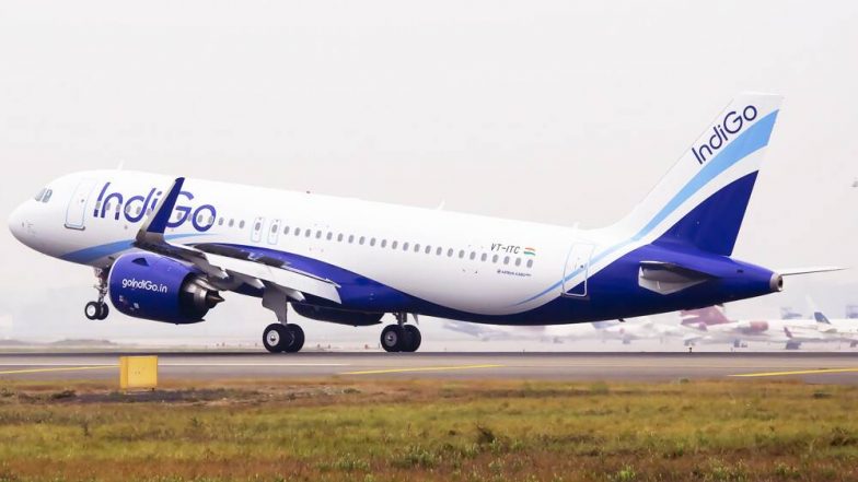 IndiGo Plane Skids Off Runway: ওড়ার খানিক আগেই রানওয়ে থেকে পিছলে গেল কলকাতাগামী ইন্ডিগোর বিমান