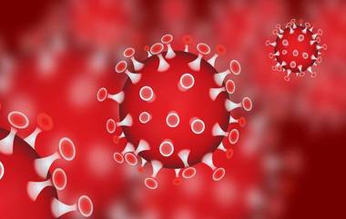 Coronavirus In India: ২৪ ঘণ্টায় দেশে করোনা আক্রান্ত  ১৬৮৪,  সুস্থতার হার ২০.৫৭ শতাংশ