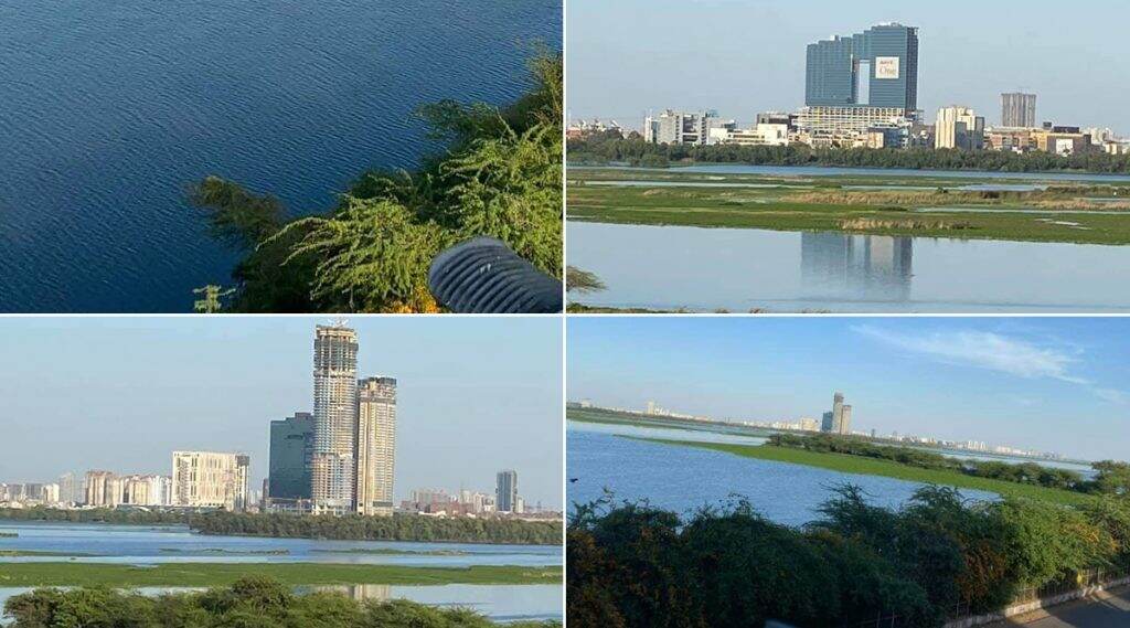 Yamuna River: লকডাউনের কারণে যমুনার জল হয়েছে স্বচ্ছ, নীল Yamuna River: লকডাউনের কারণে যমুনার জল হয়েছে স্বচ্ছ, নীল