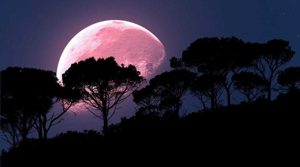 Pink Super Moon: রাতের আকাশকে গোলাপি করে তুলবে পিঙ্ক সুপারমুন; জানুন কখন, কোথায় দেখা যাবে এই চাঁদ?