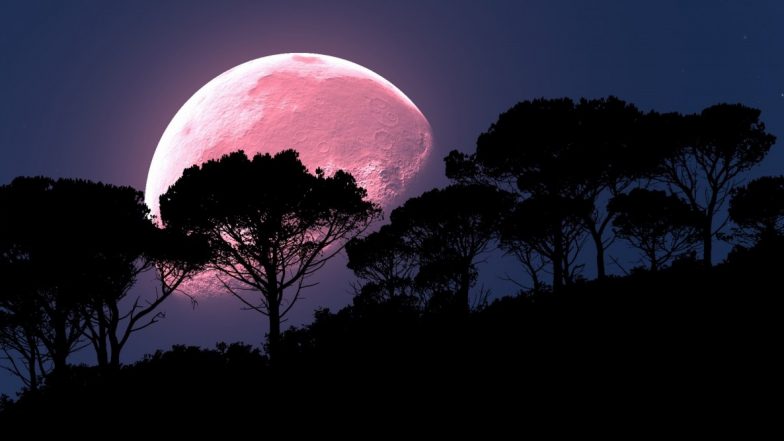 Pink Super Moon: রাতের আকাশকে গোলাপি করে তুলবে পিঙ্ক সুপারমুন; জানুন কখন, কোথায় দেখা যাবে এই চাঁদ?