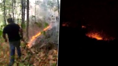 Bankura Susunia Hill Fire: জ্বলছে বাঁকুড়ার শুশুনিয়া পাহাড়
