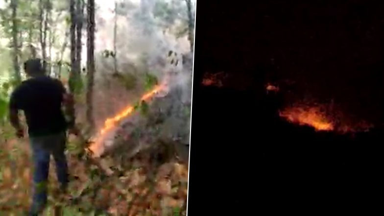 Bankura Susunia Hill Fire: জ্বলছে বাঁকুড়ার শুশুনিয়া পাহাড়