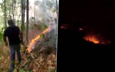 Bankura Susunia Hill Fire: জ্বলছে বাঁকুড়ার শুশুনিয়া পাহাড়