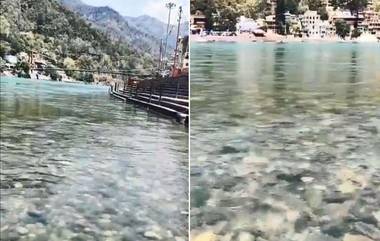 Ganga River Flows Clear As Crystal At Rishikesh: ঋষিকেশে ঝকঝকে গঙ্গার জল, মুগ্ধ করবে নির্মলতা