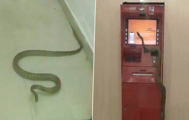 Snake Spotted Inside ATM: এটিএমে সাপ! ভাইরাল ভিডিয়ো