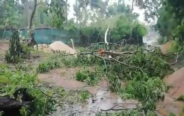 Cyclone Amphan: আম্ফান ঘূর্ণিঝড়ের কাণে ক্ষতিগ্রস্ত ওড়িশার উপকূলের জেলাগুলি, মৃত ২