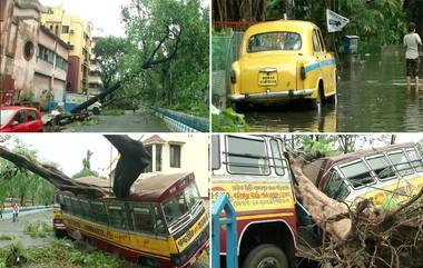 Cyclone Amphan: আম্ফান ঘূর্ণিঝড়ের তাণ্ডবে তছনছ কলকাতা ও দুই ২৪ পরগনা, শহরে মৃত্যু ৩ জনের