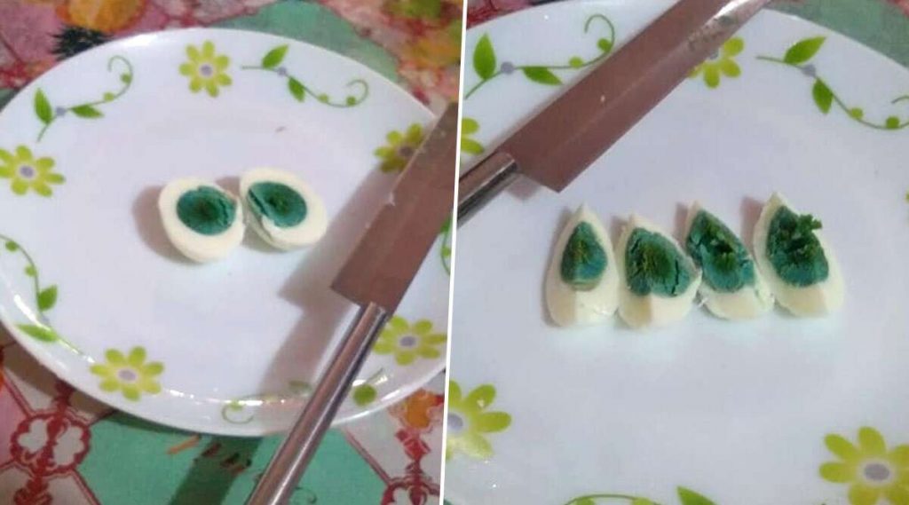 Eggs with Green Yolks: ডিম নাকি এলিয়েন? সবুজ কুসুমের ডিম দেখে অবাক নেটিজেন