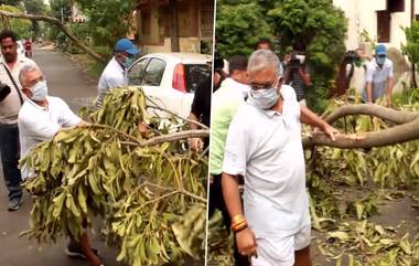 Dilip Ghosh: 'সরকারের উপর ভরসা না করে সাধারণ মানুষেরও উচিত এগিয়ে আসা', দা-কুড়ুল নিয়ে রাস্তায় গাছ কাটতে নামলেন দিলীপ ঘোষ