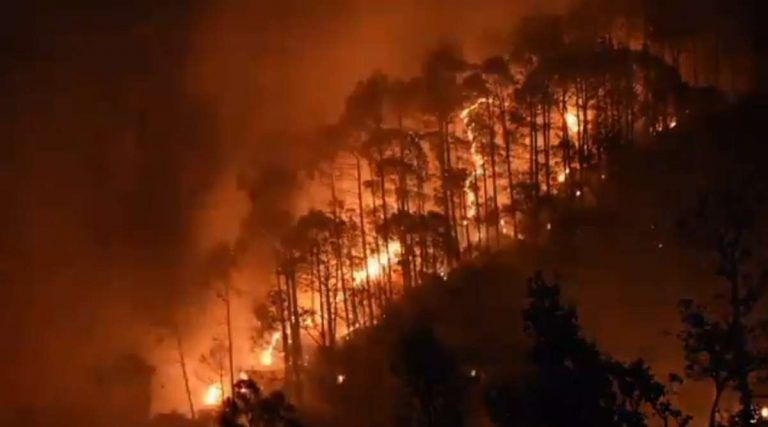 Goa Forest Fire: বায়ুসেনার কপ্টারে ২৫ হাজার লিটার দিয়ে নিভল গোয়ার জঙ্গলের আগুন, ভিডিয়ো