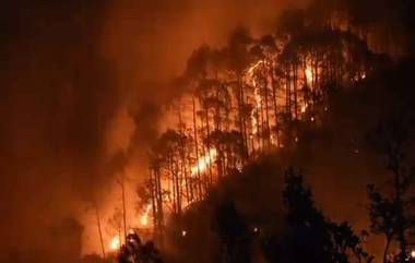 Goa Forest Fire: বায়ুসেনার কপ্টারে ২৫ হাজার লিটার দিয়ে নিভল গোয়ার জঙ্গলের আগুন, ভিডিয়ো