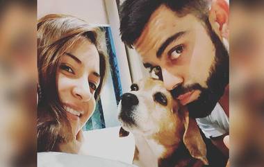 Virat Kohli: ‘১১ বছর ধরে ভালবাসায় ভরিয়ে রেখেছো, আত্মার যোগ থাকবে চিরকাল’ প্রিয় পোষ্যর মৃত্যুতে শোকবার্তা বিরাটের