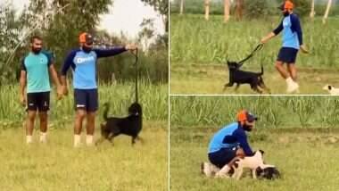 Mohammed Shami Sprints With His Pet Dog: গতি বাড়ানোর জন্য পোষা কুকুকের সঙ্গে দৌড়চ্ছেন মহম্মদ শামি