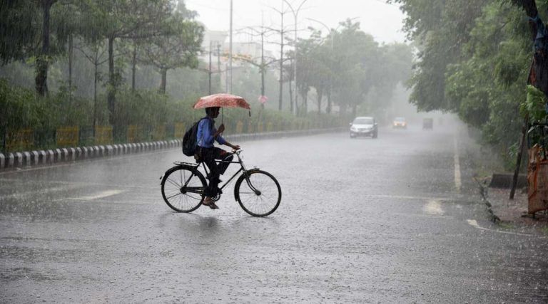 Delhi Rains: অসহ্য গরমের জ্বালা কাটিয়ে দিল্লিতে নামল তুমুল বৃষ্টি