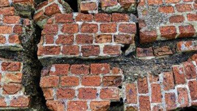 Earthquakes: কাকভোরে তীব্র ভূমিকম্প ইন্দোনেশিয়ায়, রিখটার স্কেলে কম্পনের মাত্রা ৬.৩, বাদ গেল না সিঙ্গাপুর ও অরুণাচল প্রদেশ