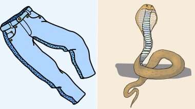 Cobra Enters Sleeping Man's Pants: ঘুমের মধ্যেই যুবকের জিন্স প্যান্ডের ভেতরে কোবরা! তারপর কী হল ?