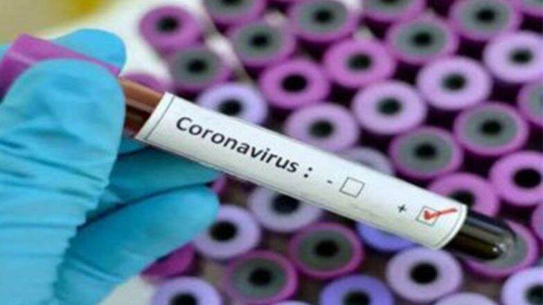 Global COVID-19 Cases: বিশ্বে করোনা আক্রান্ত ৩ কোটি ৬৫ লাখ ছাড়ালো, মৃত্যু মিছিলে শামিল ৯ লাখ ৪৪ হাজার ৬০৪ জন