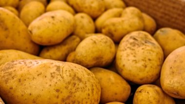 Potato Rates High: আলুর আগুন দামে নাজেহাল গৃহস্থ, দাম বেড়েছে সব্জিরও