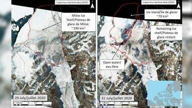 Canada’s Last Fully Intact Ice Shelf Breaks: জলবায়ূ পরিবর্তনের জের, কানাডার শেষ সুবিশাল হিমশৈলও ভাঙল