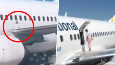 Woman Walks On Airplane's Wing: ভেতর বড্ড গরম, হাওয়া খেতে প্লেনের ডানায় পায়চারি মহিলা যাত্রীর!