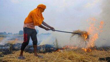 Stubble Burning by Farmers in Punjab And Haryana: পঞ্জাব, হরিয়ানায় বিঘার পর বিঘা চাষের জমি জ্বলছে, ছবি প্রকাশ NASA-র