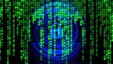 Pakistan Hackers Claim: জল না পেয়ে মাথা 'খারাপ' পাকিস্তানের, ভারতের ডিফেন্স ওয়েবসাইট হ্যাকের দাবি পাক হ্যাকার্সদের