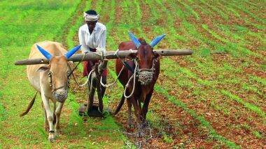 Essential Commodities (Amendment) Bill 2020 Passed in Rajya Sabha: চালু-ডাল-আলু-পেঁয়াজ বাদ পড়ল অত্যাবশ্যকীয় পণ্যের তালিকা থেকে, এই বিল সম্পর্কে জেনে নিন বিস্তারিত