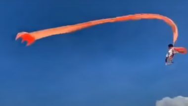 International Kite Festival: কোভিড মেঘ সরতেই দু বছর পর আকাশে ঘুড়ির মেলায় মেলা ঘুড়ি (ভিডিও)