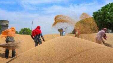 MSP on Wheat Hiked: কৃষি বিল প্রতিবাদের মাঝেই বাড়ল গমের এমএসপি, প্রতি কুইন্টাল ৫০ টাকা থেকে বাড়িয়ে করা হল ১,৯৭৫ টাকা