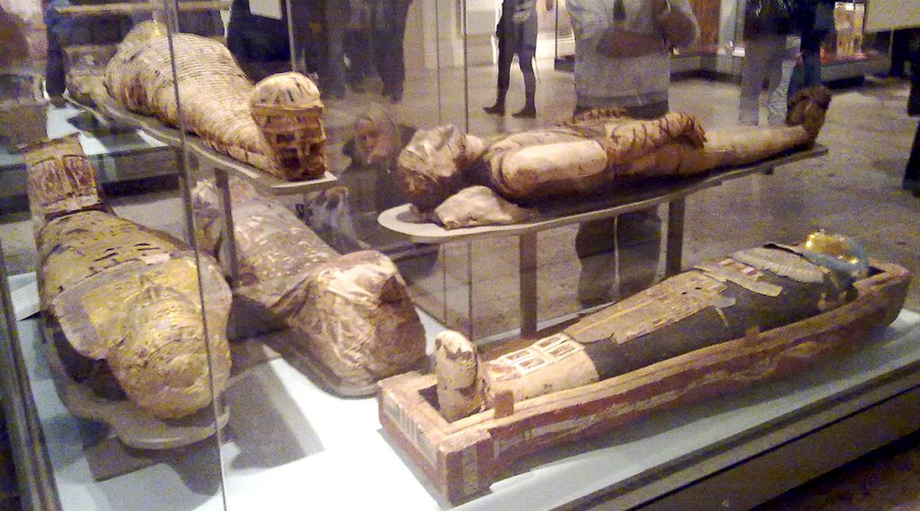 Egypt: মিশরের সাক্কারাতে মিলল ২,৬০০ বছরেরও বেশি পুরোনো ৫৯টি কফিন, রয়েছে মমিও