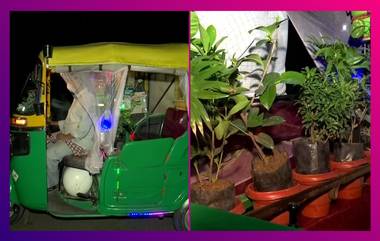 Auto Converts Into a Garden: গাছপালা, মাছ, খরগোশ মিলেমিশে মিনি-জু হল অটো