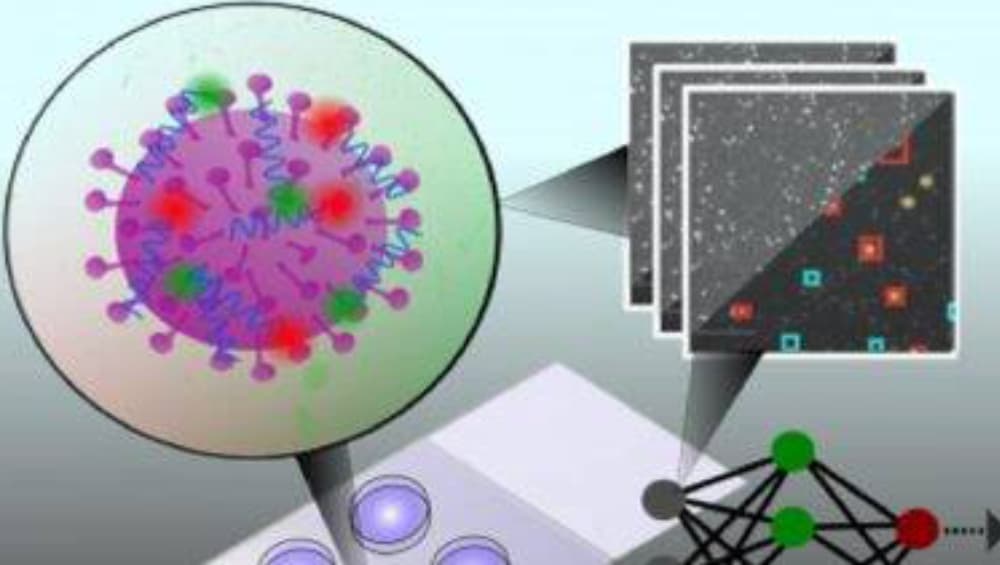 Coronavirus Testing: ৫ মিনিটেই জানা যাবে করোনা টেস্টের ফল, নতুন ডিভাইস আবিষ্কার অক্সফোর্ডের বিজ্ঞানীর Coronavirus Testing: ৫ মিনিটেই জানা যাবে করোনা টেস্টের ফল, নতুন ডিভাইস আবিষ্কার অক্সফোর্ডের বিজ্ঞানীর