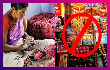 Calcutta HC Bans Fire Crackers: কালীপুজো থেকে ছটপুজো, রাজ্যে নিষিদ্ধ বাজি বিক্রি ও পোড়ানো