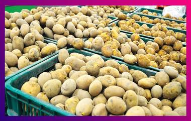 Potato Rates Go Up by 108%: ধরাছোঁয়ার বাইরে সবজি-নিত্যপ্রয়োজনীয় জিনিস, ১ বছরে ১০৮% বাড়ল আলুর দাম