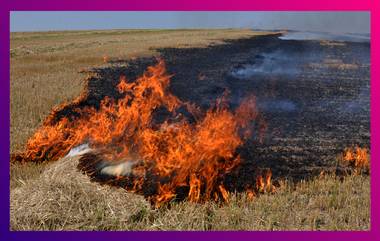 West Bengal To Observe Nov 4 As Anti-Stubble Burning Day: করোনা সংক্রমণ এড়াতে পদক্ষেপ রাজ্যের